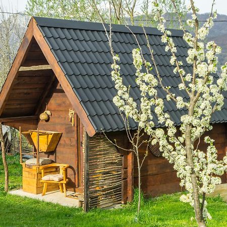 Villa Djurdjevina Family Farm à Kolašin Extérieur photo