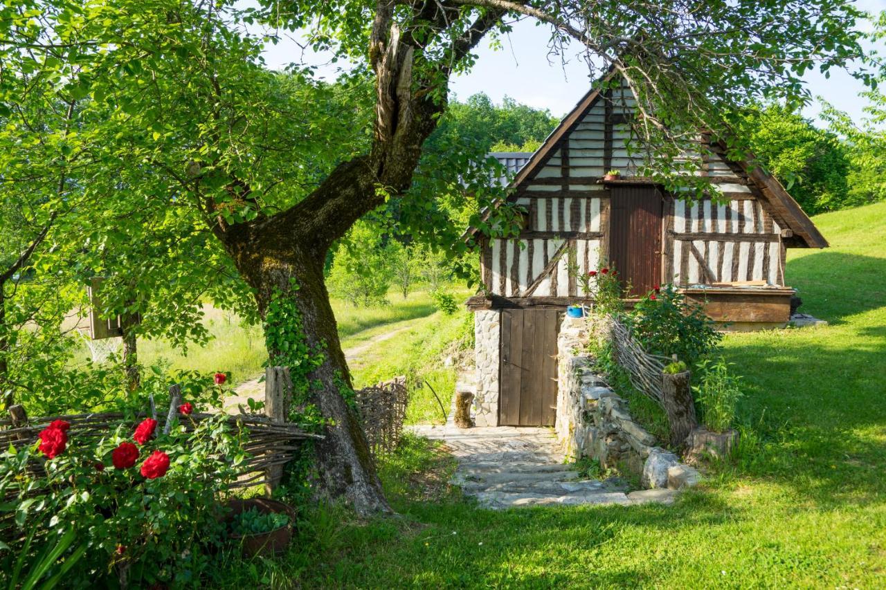 Villa Djurdjevina Family Farm à Kolašin Extérieur photo