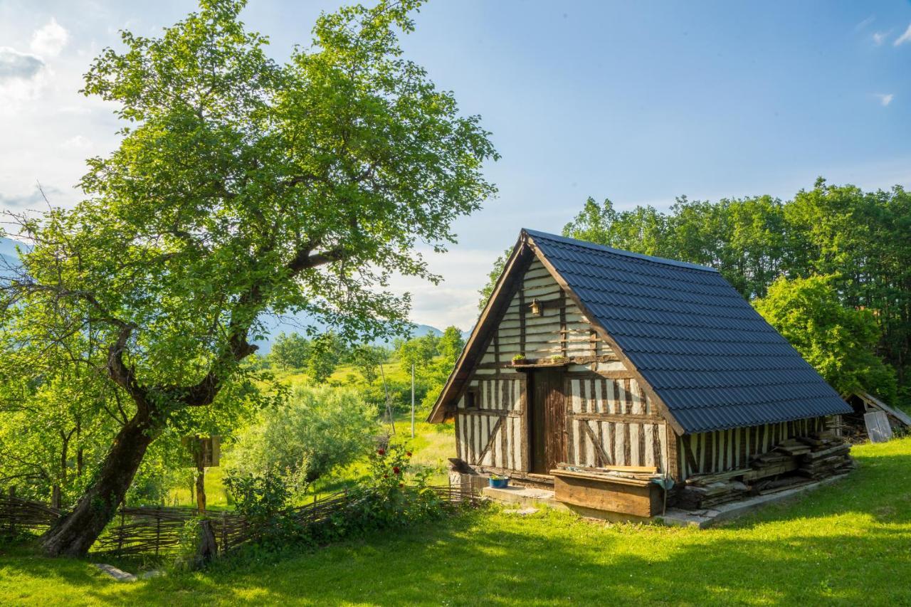 Villa Djurdjevina Family Farm à Kolašin Extérieur photo