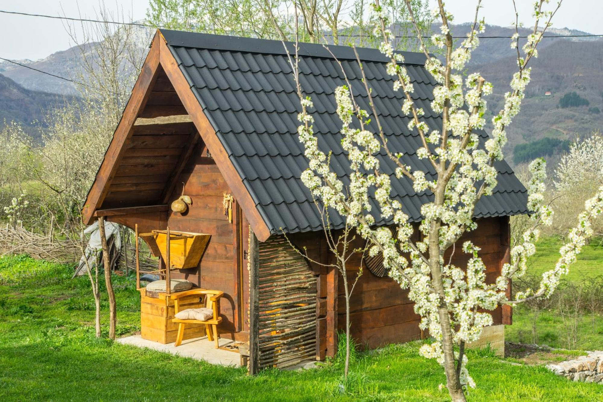 Villa Djurdjevina Family Farm à Kolašin Extérieur photo