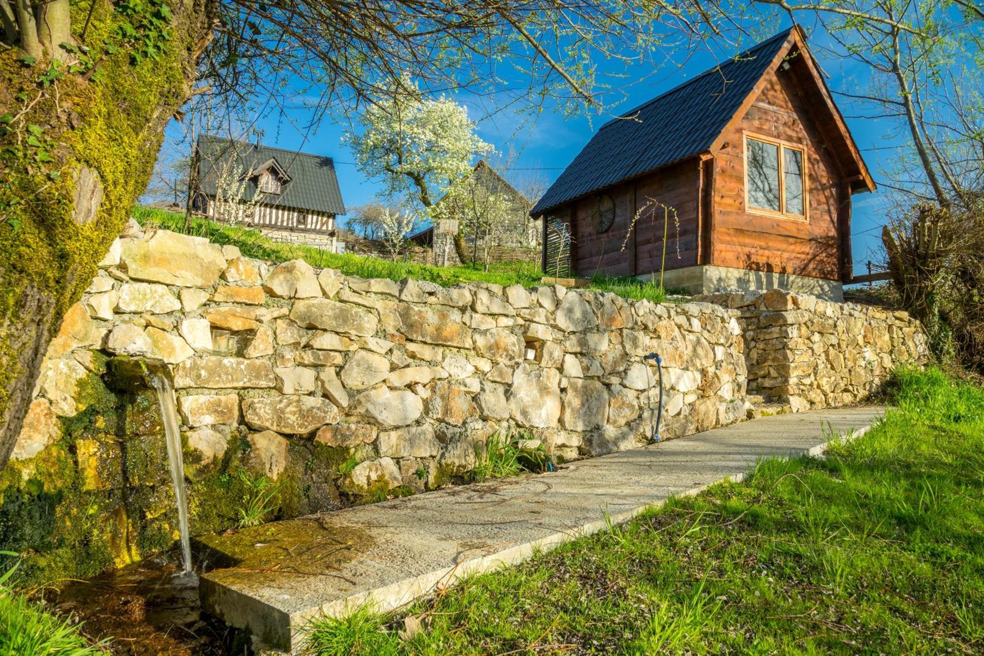Villa Djurdjevina Family Farm à Kolašin Extérieur photo