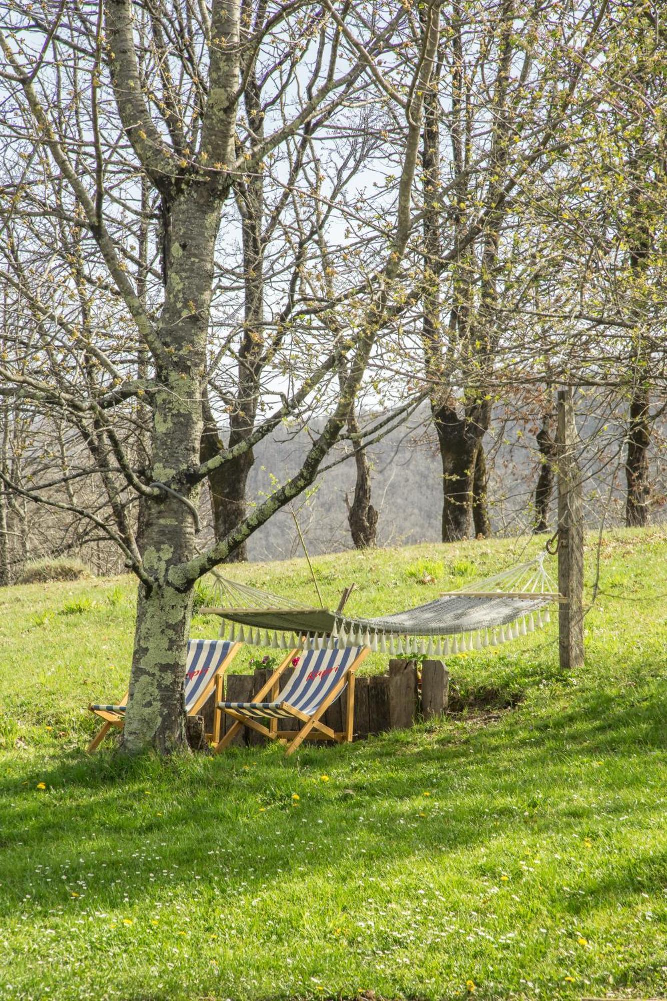 Villa Djurdjevina Family Farm à Kolašin Extérieur photo