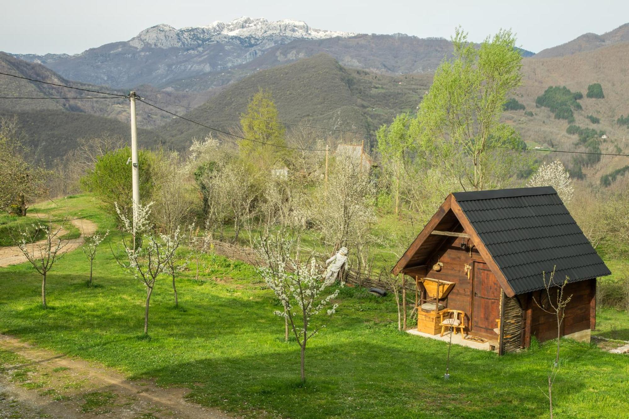 Villa Djurdjevina Family Farm à Kolašin Extérieur photo