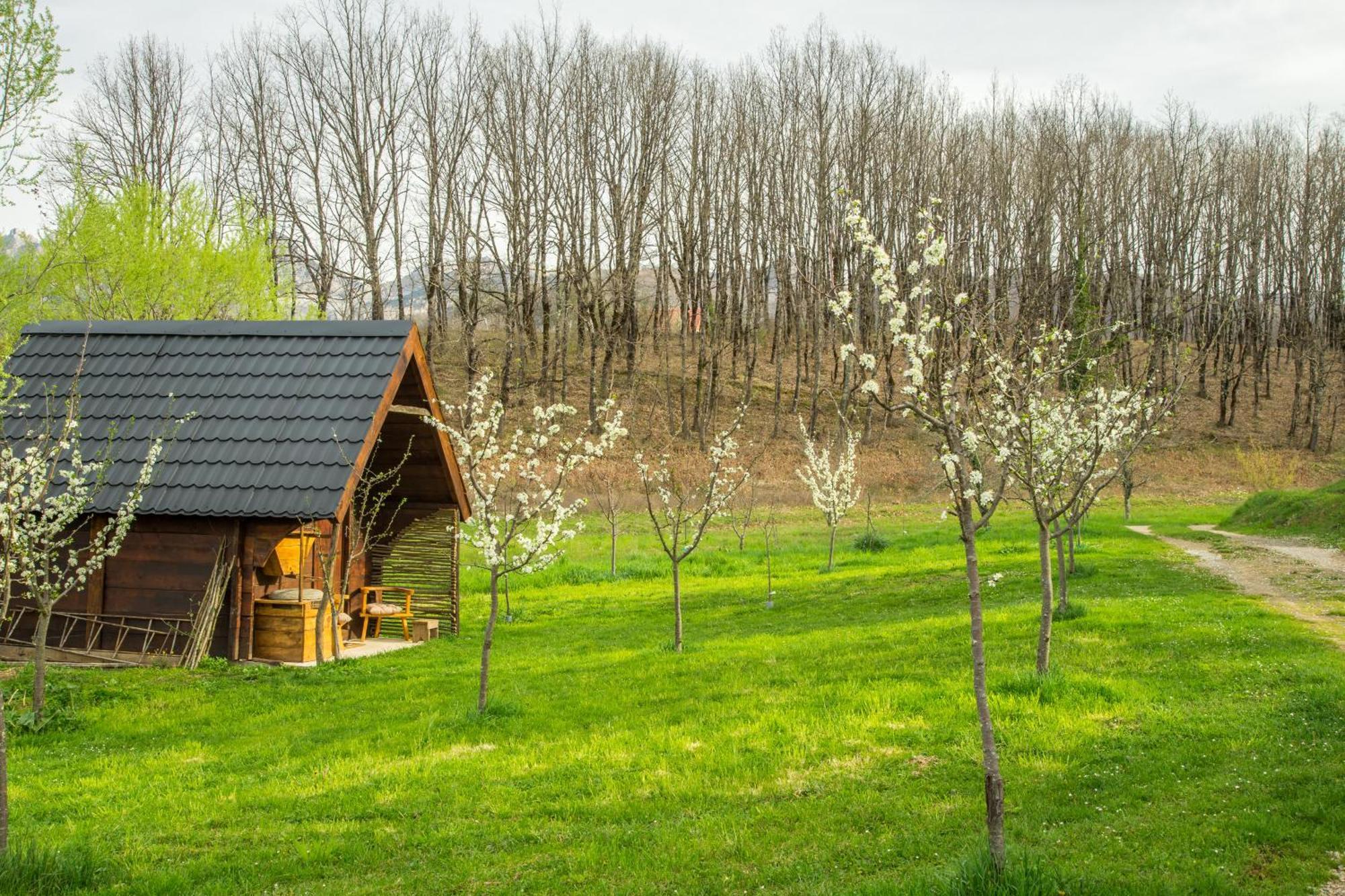 Villa Djurdjevina Family Farm à Kolašin Extérieur photo