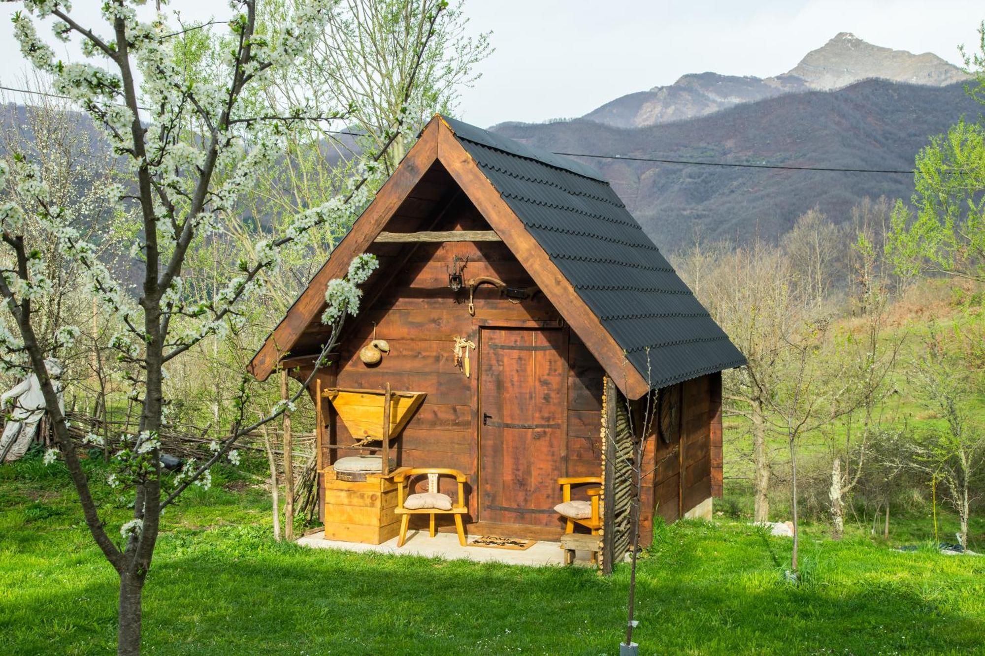 Villa Djurdjevina Family Farm à Kolašin Chambre photo
