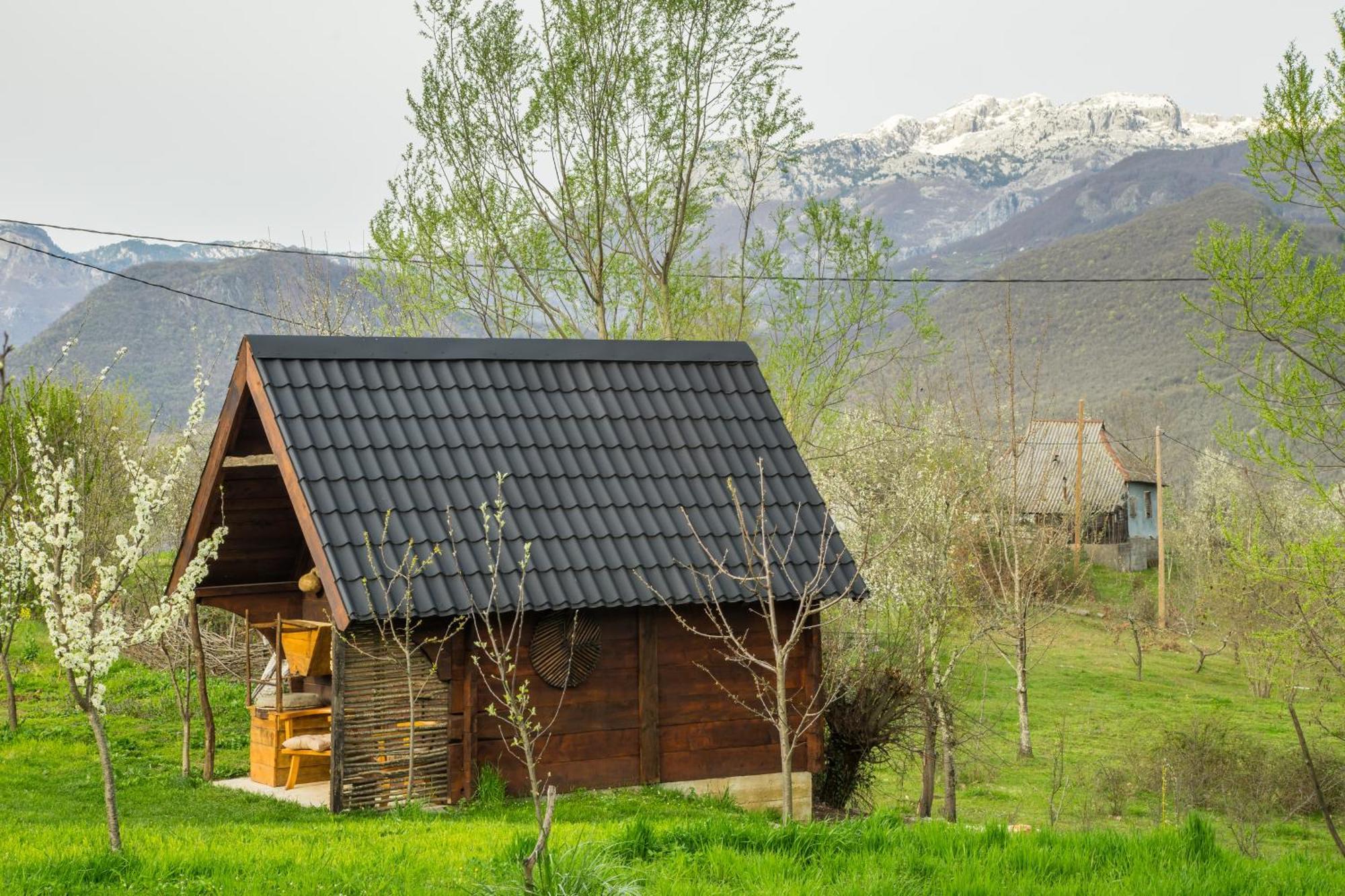 Villa Djurdjevina Family Farm à Kolašin Chambre photo