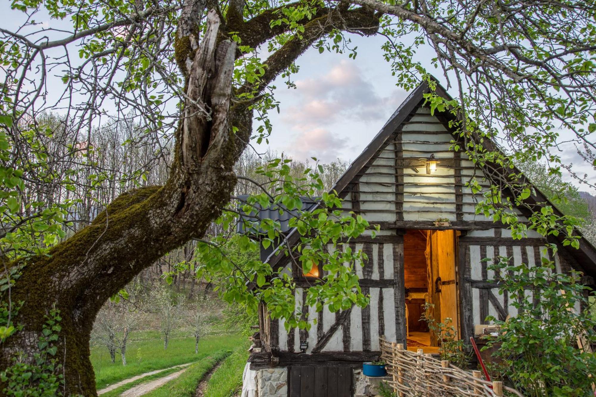 Villa Djurdjevina Family Farm à Kolašin Chambre photo